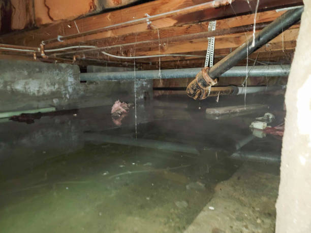 Best Emergency water damage restoration  in Grovetown, GA