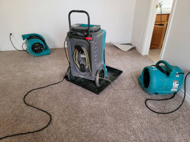 Best Ceiling water damage repair  in Grovetown, GA