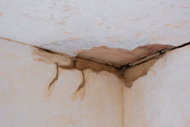 Best Professional water damage repair  in Grovetown, GA
