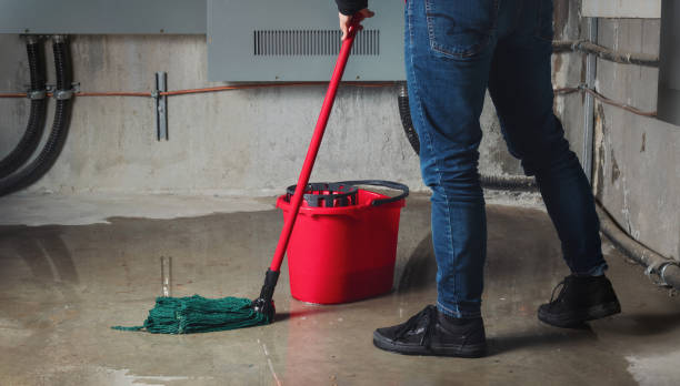 Best Local water damage restoration  in Grovetown, GA