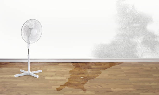 Best Fire Damage Restoration  in Grovetown, GA