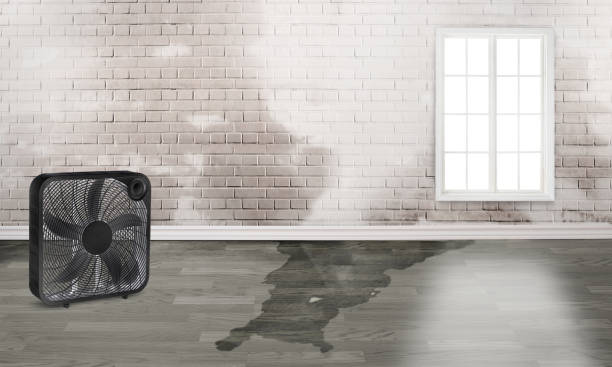 Best Water damage contractors near me  in Grovetown, GA