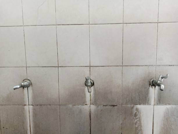Best Basement water damage restoration  in Grovetown, GA