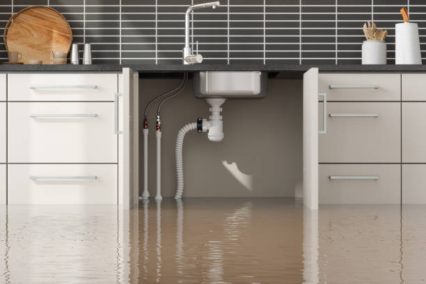 Best Water damage restoration near me  in Grovetown, GA