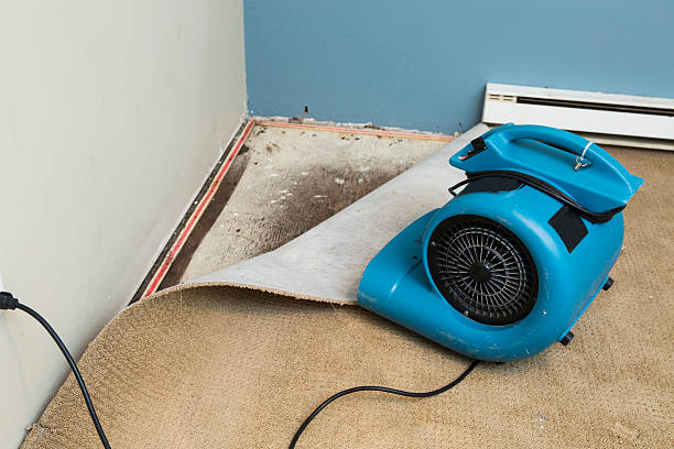 Best Sewage cleanup and water damage restoration  in Grovetown, GA